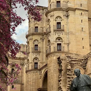 Premium - Cathedral Of Malaga