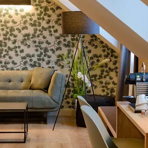 Отель Mercure Altstadt